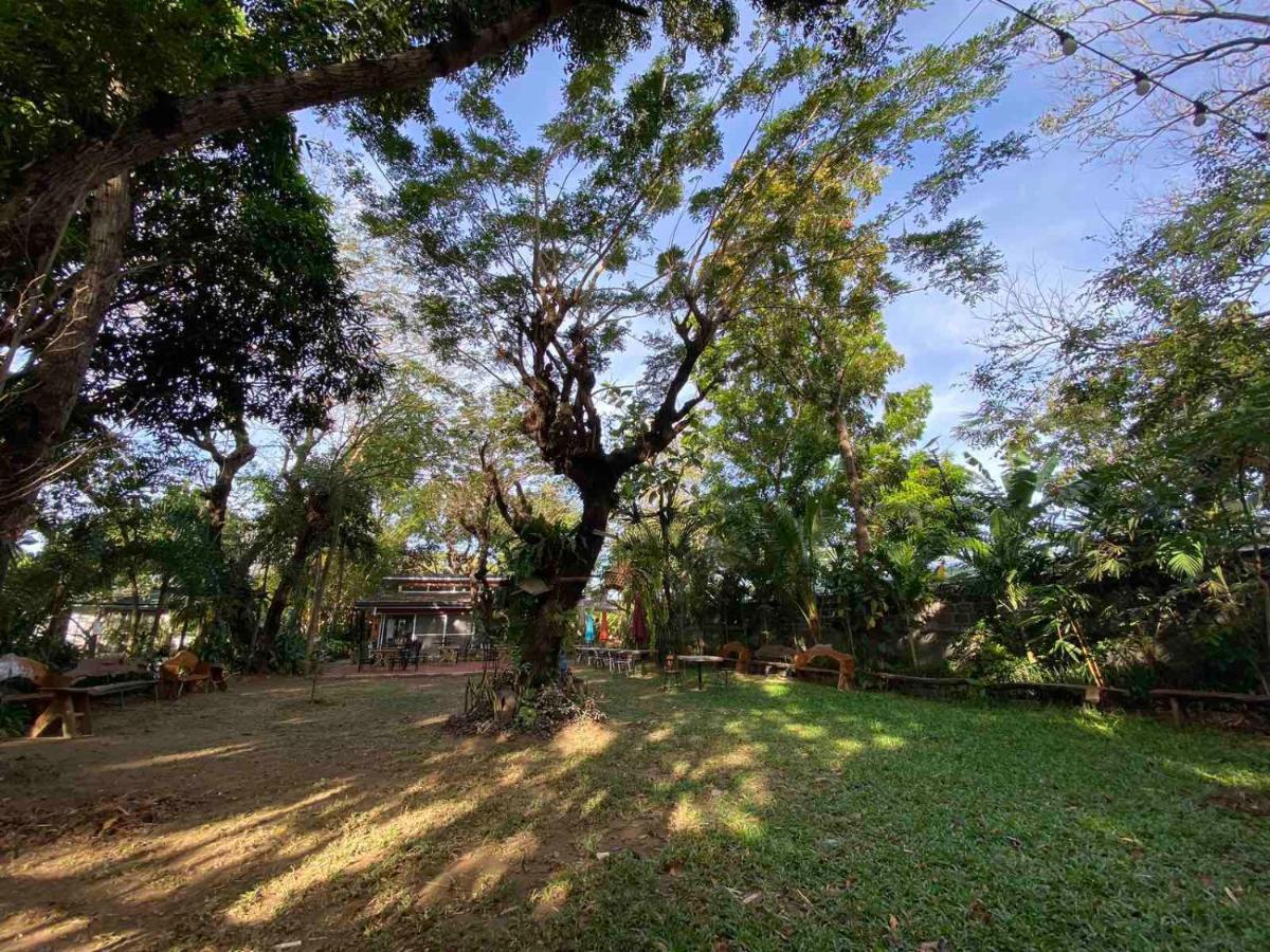 Rio Vista Bed And Breakfast Dagupan City Bagian luar foto